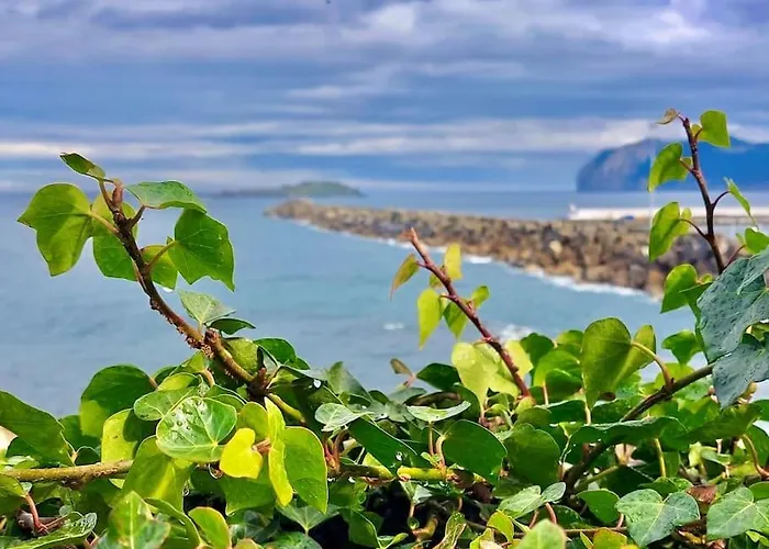 Ertzilla - Vistas Al Mar. 公寓 贝梅奥